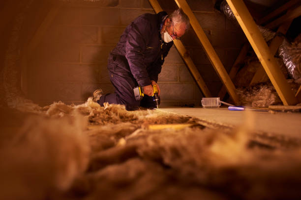 Best Commercial Insulation in Frontenac, KS